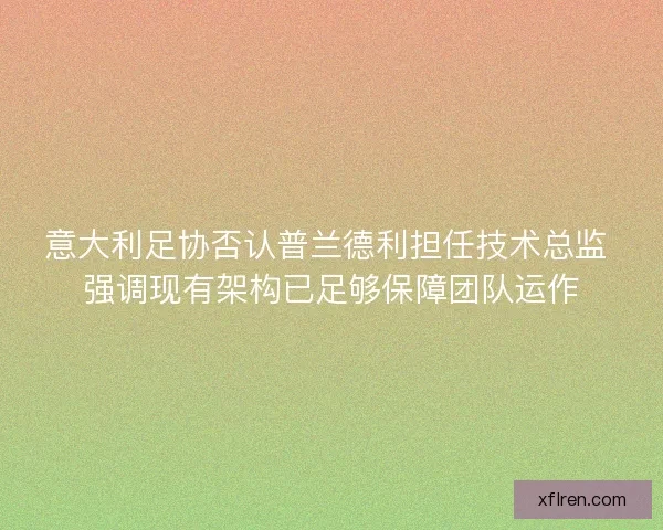 意大利足协否认普兰德利担任技术总监 强调现有架构已足够保障团队运作