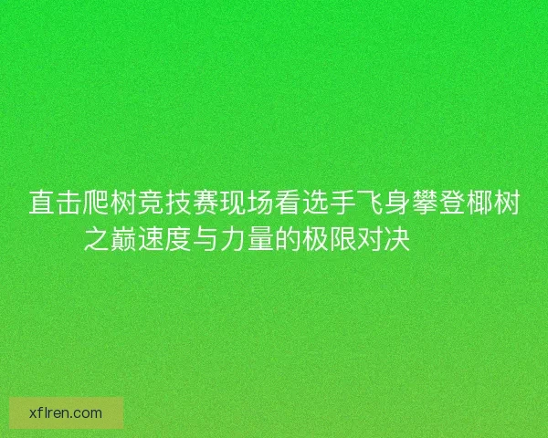 直击爬树竞技赛现场看选手飞身攀登椰树之巅速度与力量的极限对决🌴🏆