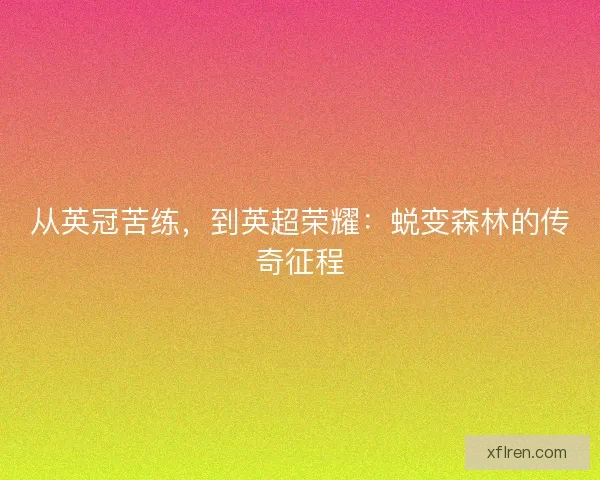 从英冠苦练，到英超荣耀：蜕变森林的传奇征程